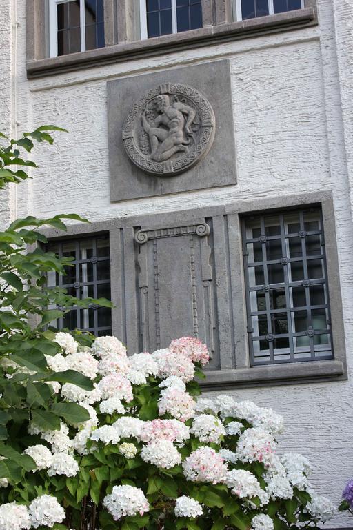 Tagungsvilla Weisser Berg Neuwied Exterior photo